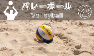 バレーボール